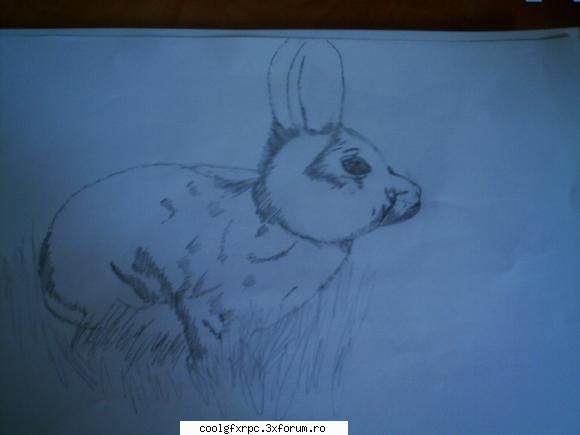 Mele desene ale vedeti :)) - asta e preferatul meu cred ca am lucrat la el - Fan-Art